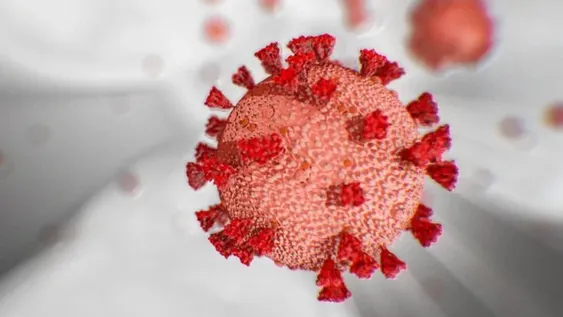 Qué es el “efluvio telógeno”, el nuevo síntoma de la variante Ómicron de coronavirus