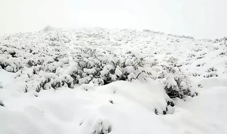 Nevadas: seguimos teniendo ciclo hídrico seco