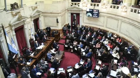 Senado: la oposición se impuso y habrá sesión el jueves para rechazar el veto al reparto automático de ATN