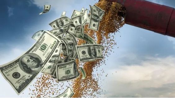 En el primer día del dólar soja II, agroexportadores liquidaron u$s292 millones