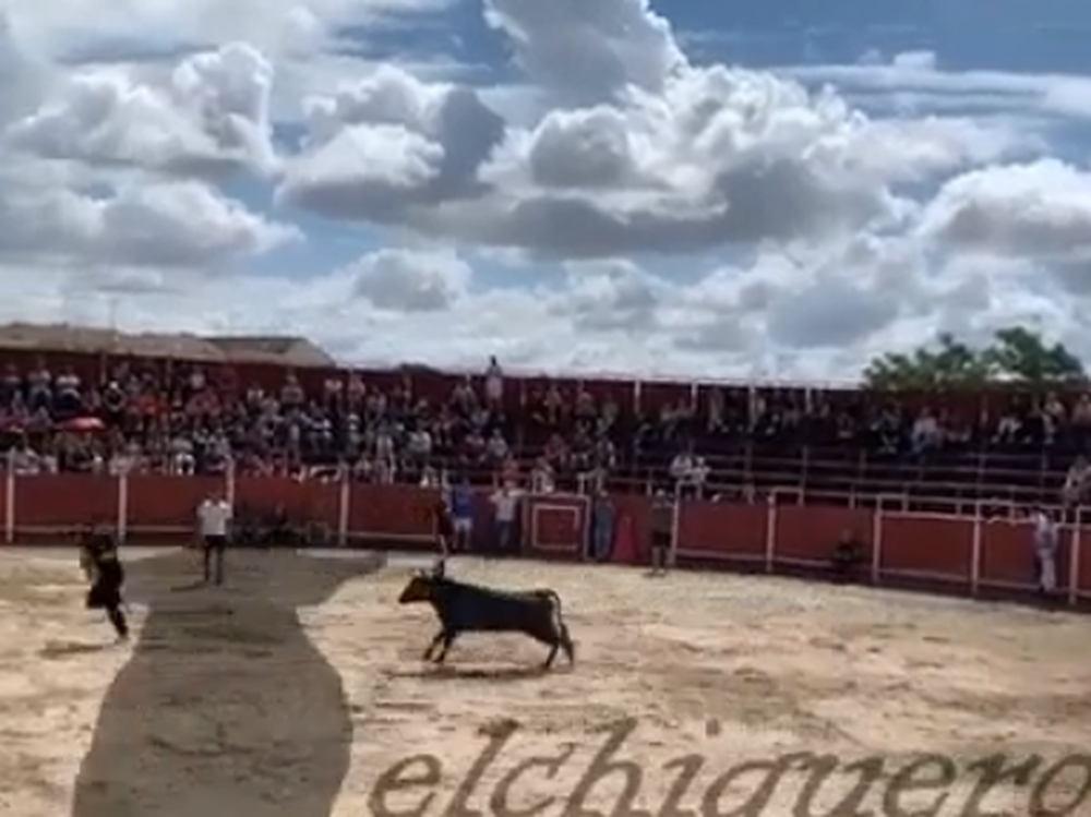 Un toro embistió y mató de una brutal cornada a un joven en un encierro