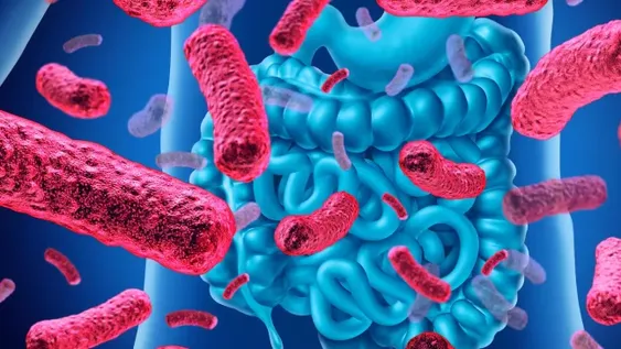 Cuidar la microbiota, fundamental en las Fiestas.
