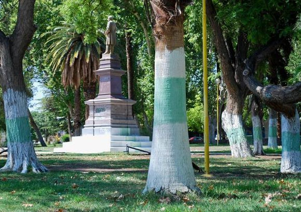 Enojo en Capital por pintadas en la plaza de Desamparados