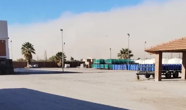 El tiempo en San Juan: máxima de 17° y la llegada de viento Sur por la tarde-noche