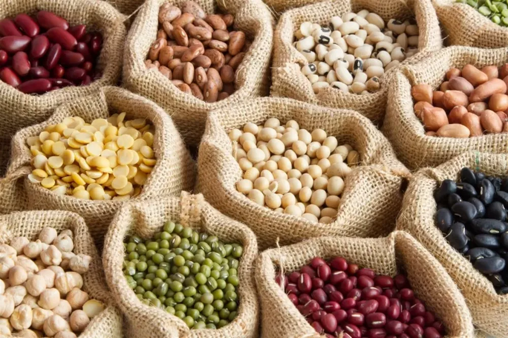 Las infaltables de la cocina
