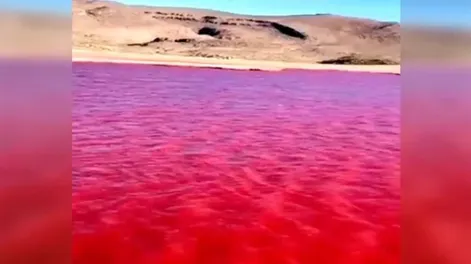 El río Nilo se tiñó completamente de rojo y desconcertó a todos