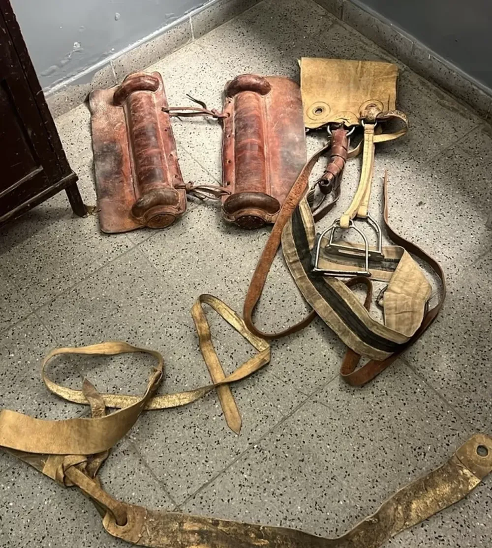 La policía recuperó una montura de caballo robada en diciembre