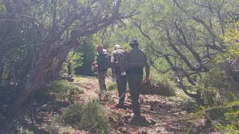 Diario de Cuyo | Trabajo de campo. Personal de la Dirección de Bosques Nativos, de la Secretaría de Ambiente, recorrió el bosque de chacay en toda su extensión para corroborar su estado vegetativo.