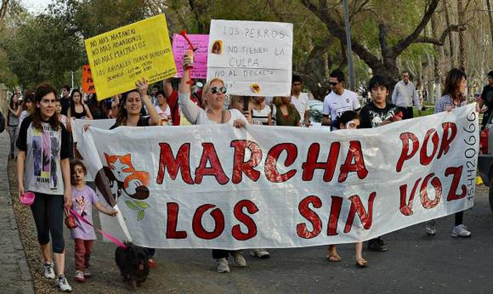 Por los derechos animales