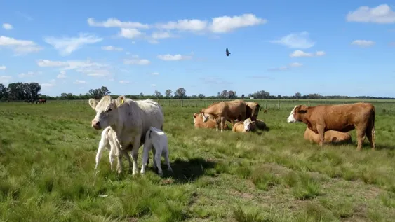 La batalla clave por el quórum del Senado se definiría en La Pampa