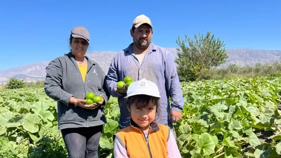 Un cajón de verduras gratis en la vereda, la tradición solidaria de una familia humilde