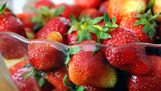 Listado: 8 alimentos que fortalecen tus defensas