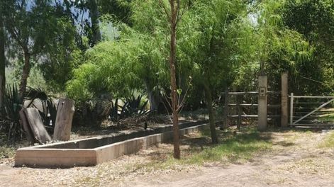 Hallaron huesos en un canal, creyeron que se trataba de una persona pero eran de un perro