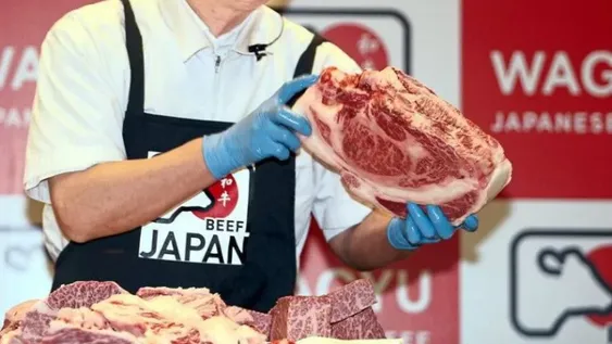 Los participantes de Masterchef cocinaron carne Wagyu: qué es, cuánto cuesta y dónde comprarla