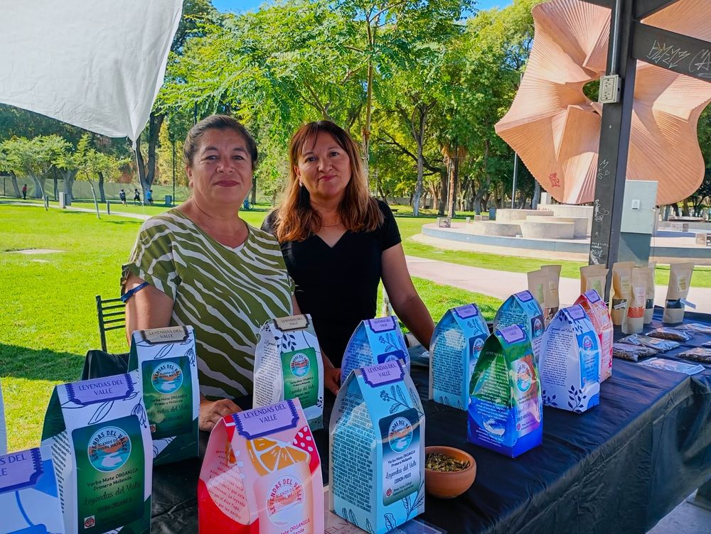 WhatsApp Image 2026-04-23 at 15.07.47