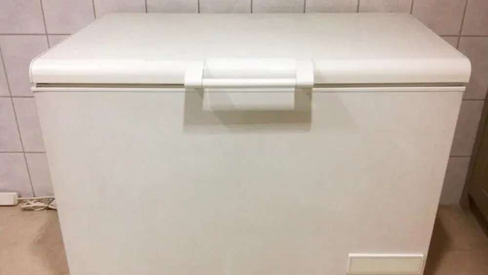 Notó que hace tiempo no veía a su madre y la halló muerta en un freezer de la casa