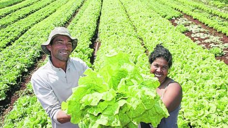 Seminario internacional y VIII Asamblea de la Comisión de agricultura orgánica