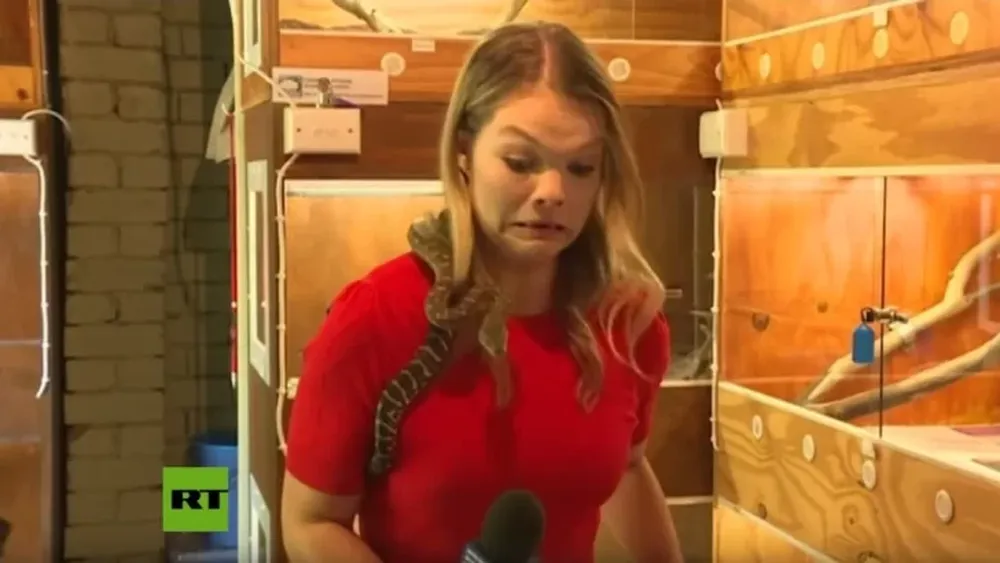 [VIDEO] Una serpiente aterrorizó a una reportera al morder su micrófono