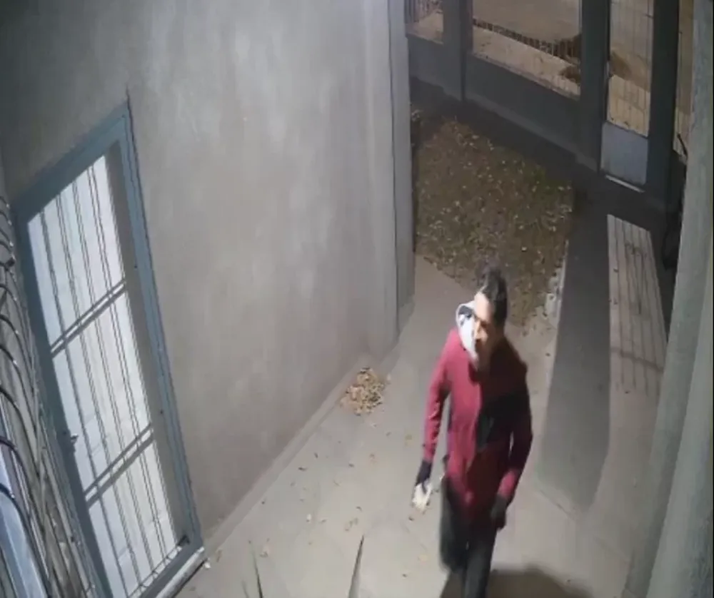 Un ladrón forzó las rejas e ingresó a una casa en Trinidad: todo quedó filmado