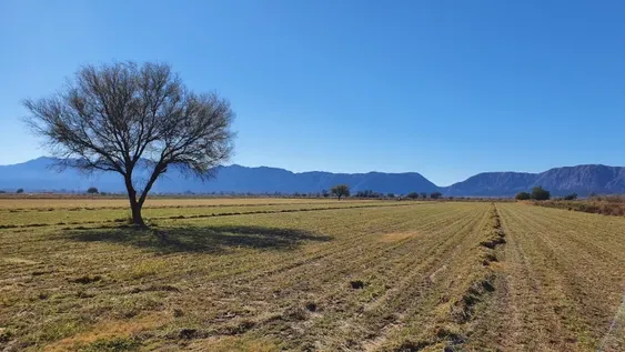 Tiempos de escasez
