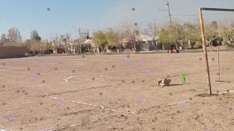 Diario de Cuyo | dcc290623 005f02_crop1687990218517 728x549.webp