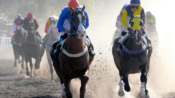FIESTA. El Jockey club tendrá su gran día del año con el Clásico Sarmiento.