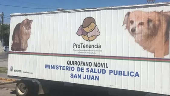 Ambiente esterilizará sin costo a las perros y gatos en Capital