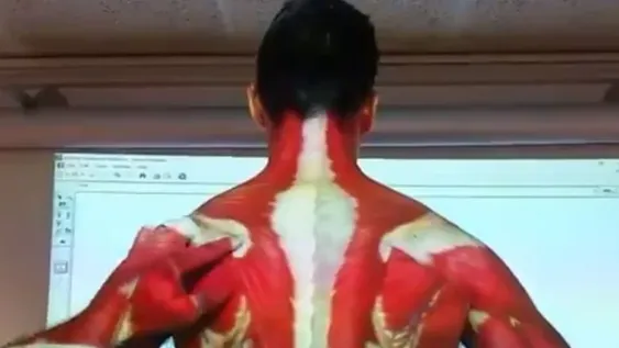 La innovadora manera de aprender anatomía