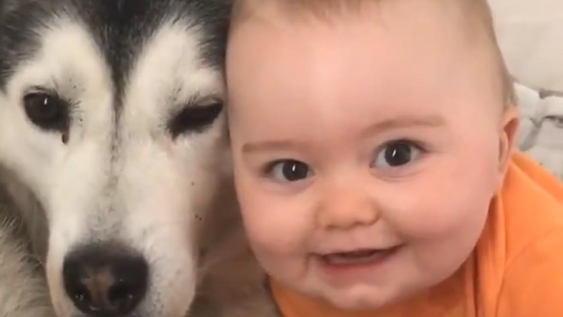 Un conmovedor y tierno video en Tik Tok generó suspiros en las redes