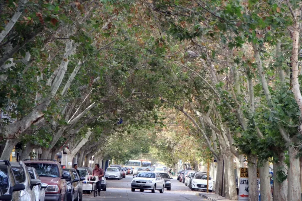 Otoño en San Juan: prometen una semana agradable y súper estable