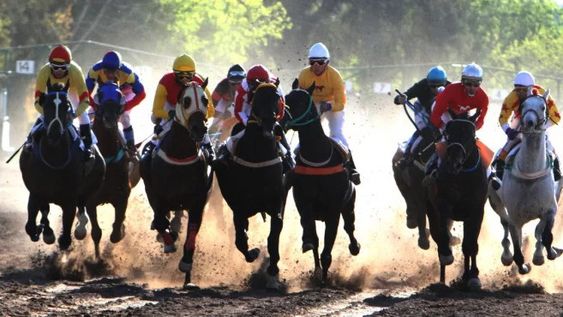 OTRA VEZ caballos de toda la provincia y de Mendoza, animarán la jornada burrera en el Hipódromo de Rivadavia.