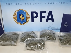 detienen a dos personas con 1,5 kilos de marihuana en la terminal: la droga supera los $22 millones detienen a dos personas con 1,5 kilos de marihuana en la terminal: la droga supera los $22 millones