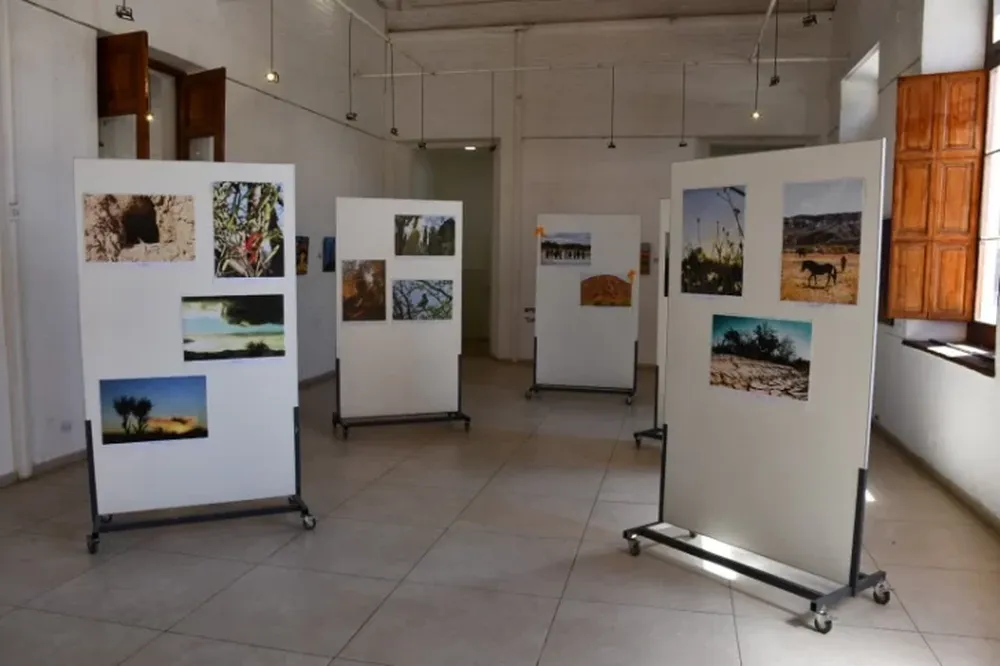 La mustra fotográfica Bosques Nativos se pueden visitar en Anchipurac.