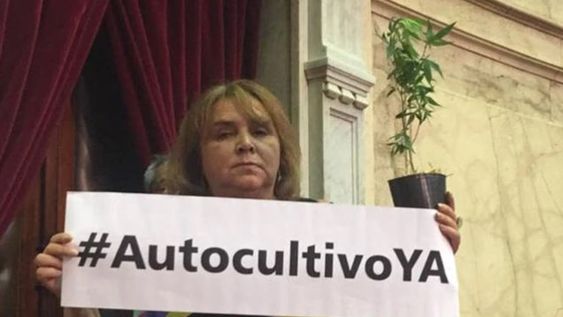 Una diputada entró al Congreso con una planta de marihuana