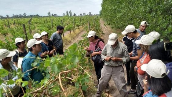 Capacitación en injertos