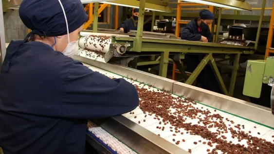 Las exportaciones de pasas cayeron 17,4% en volumen y 24,39% en precio