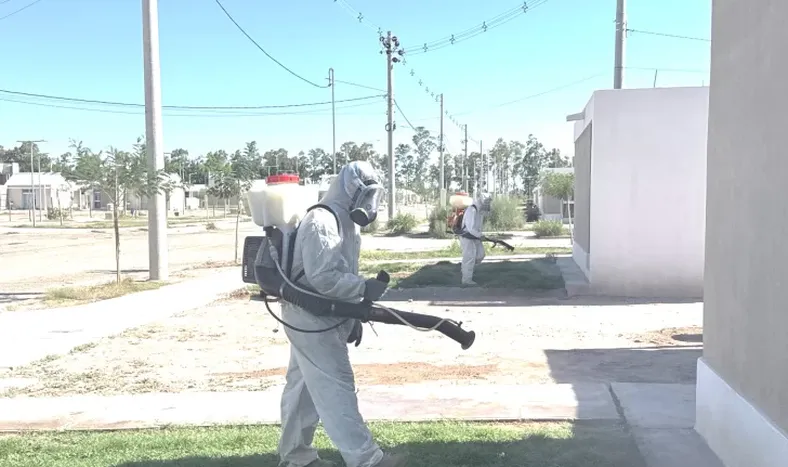 El municipio de 9 de Julio intensificó los operativos de fumigación contra los mosquitos.