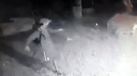 Se robaron la pelopincho y la manguera para llenar la pileta