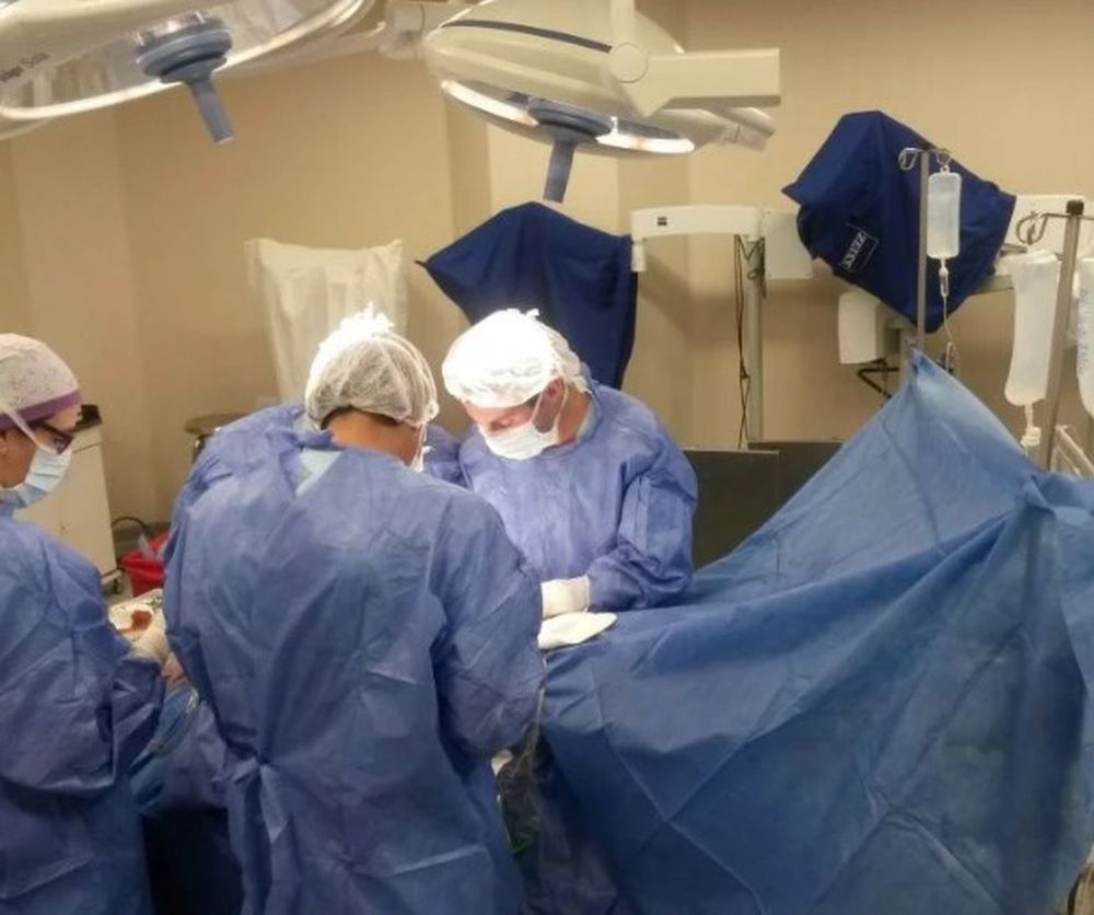 En 2018 hubo 101 sanjuaninos trasplantados y creció el número de donantes