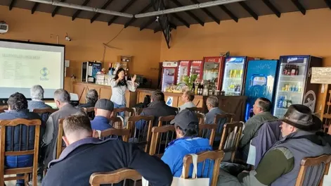 Pro Star Plus para una brotación con más rapidez y uniformidad