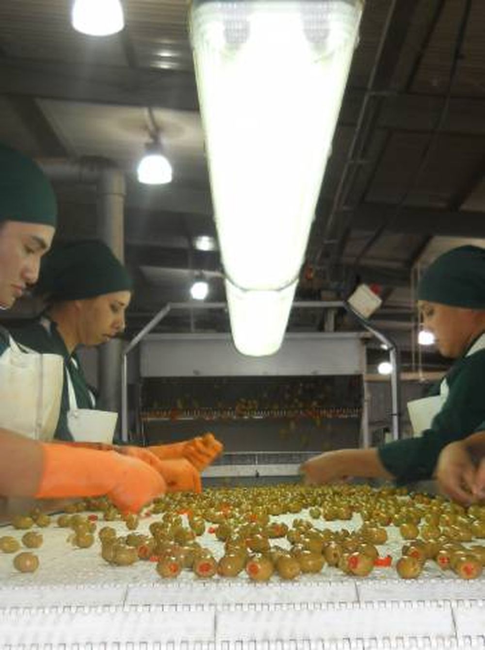 Tras gestiones, la aceituna riojana ingresa a San Juan