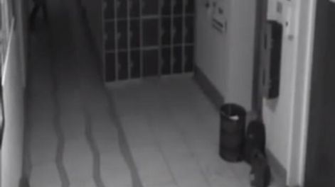 El escalofriante video de un fantasma en una “escuela embrujada”