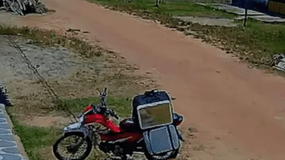 Un perro aprovechó distracción del delivery y se comió un pedido