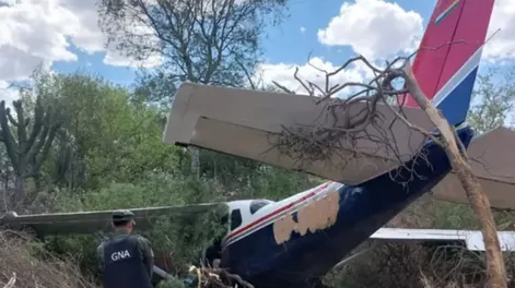 Se estrelló una narcoavioneta que llevaba más de 130 kilos de cocaína: el video del momento