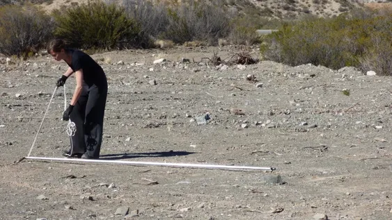 Nuevos universos en el Franklin Rawson