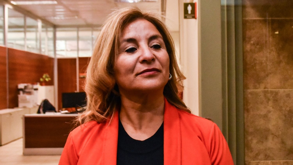 UDAP defendió el paro y rechazó posibles sanciones. Foto: Gentileza