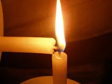 Naturgy anunció que hubo cortes de luz por la caída de una rama.