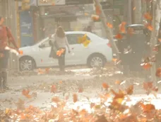 Alerta naranja y amarillo por viento Zonda.