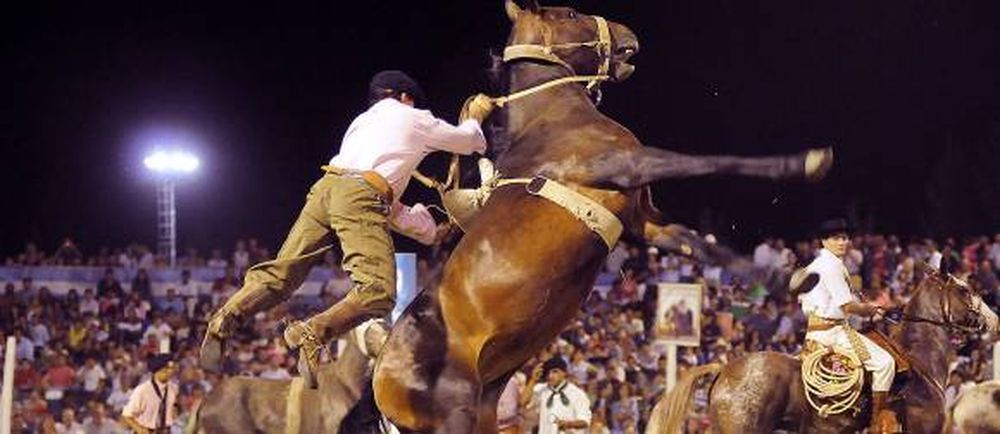 Récord de caídas durante la primera noche de doma