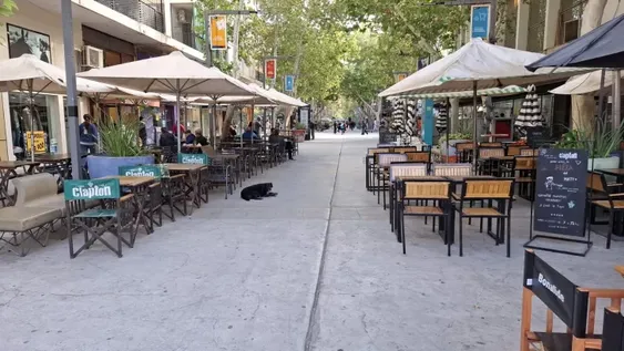 Qué servicios funcionarán y cuáles no durante los feriados por Carnaval en San Juan